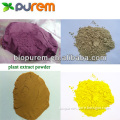 Wolfberry Juice Powder